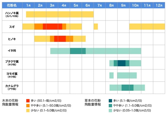 関東の飛散状況画像